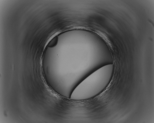 X0000097651198200802290839
