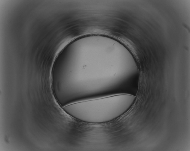 X0000097651199200802290839