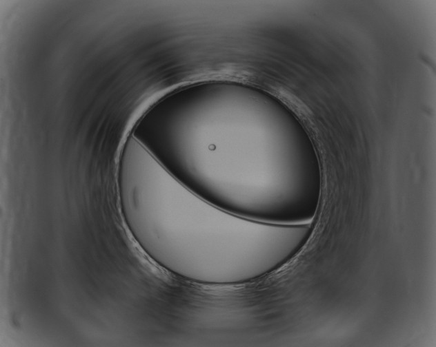 X0000097651200200802290839