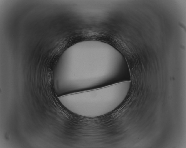 X0000097651204200802290838