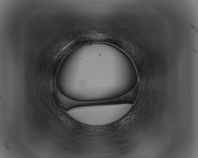 X0000097651205200802290838