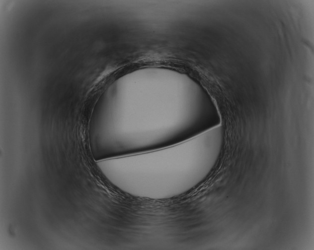 X0000097651206200802290838