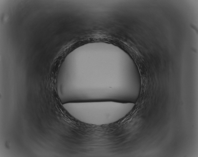 X0000097651207200802290838