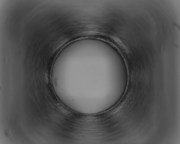 X0000097651209200802290838