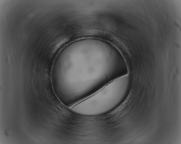 X0000097651210200802290838