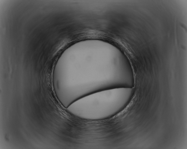 X0000097651211200802290838