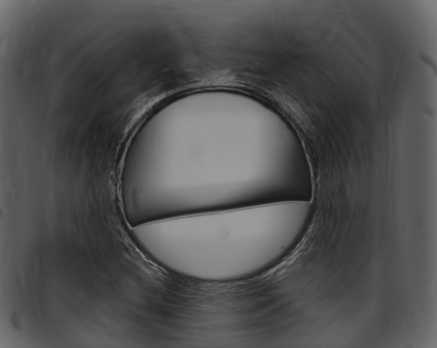 X0000097651212200802290838