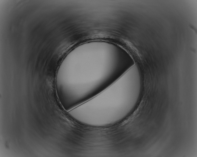 X0000097651217200802290838