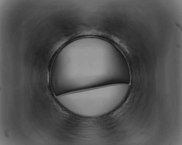 X0000097651221200802290838