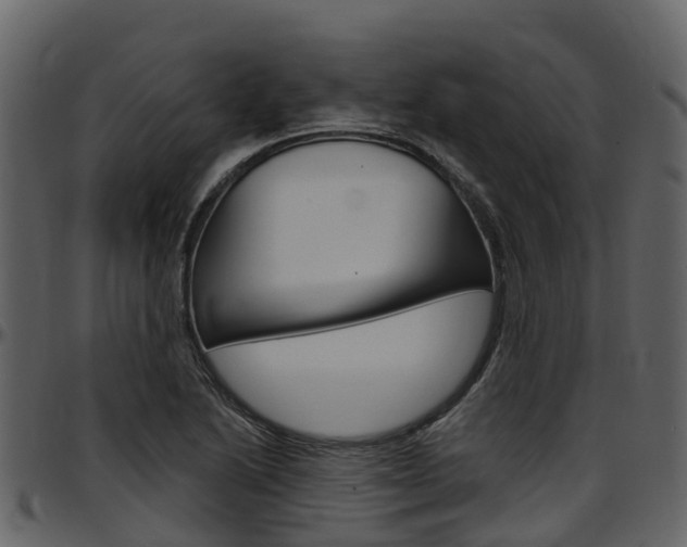 X0000097651222200802290838