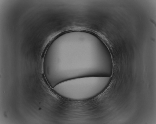 X0000097651223200802290838