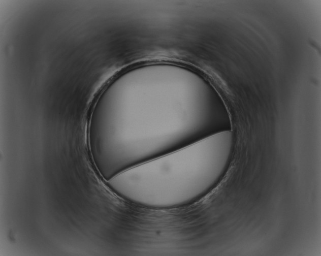 X0000097651224200802290838