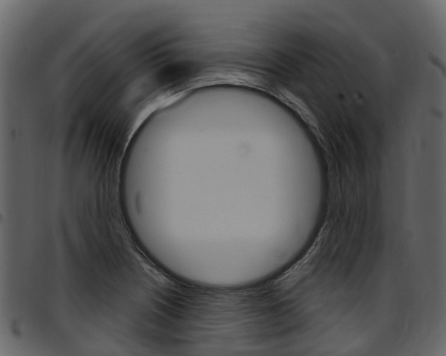 X0000097651226200802290838