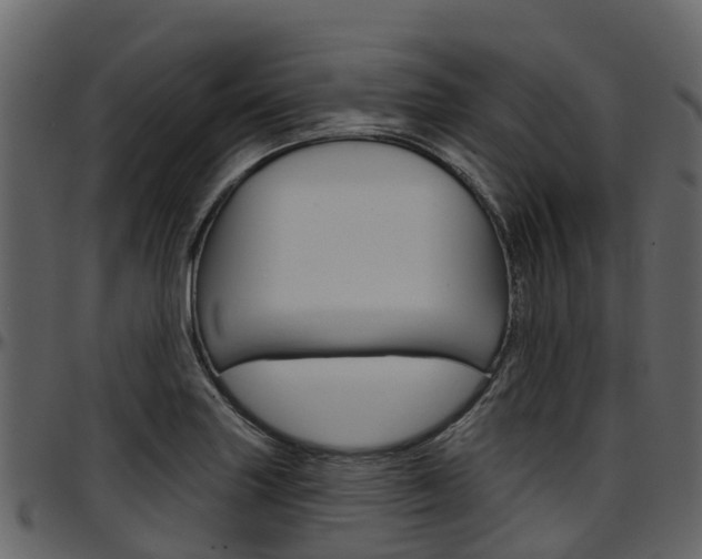 X0000097651227200802290838