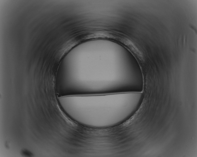 X0000097651233200802290838