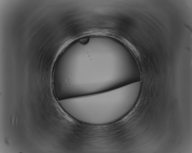X0000097651240200802290839