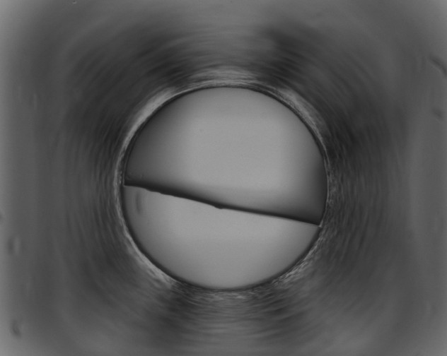 X0000097651243200802290839