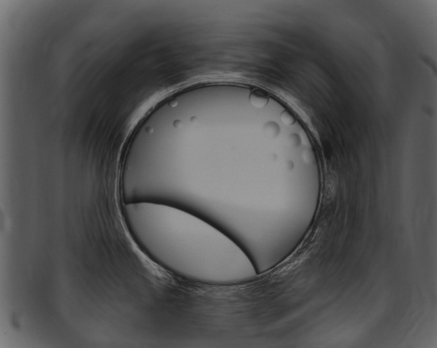 X0000097651245200802290839