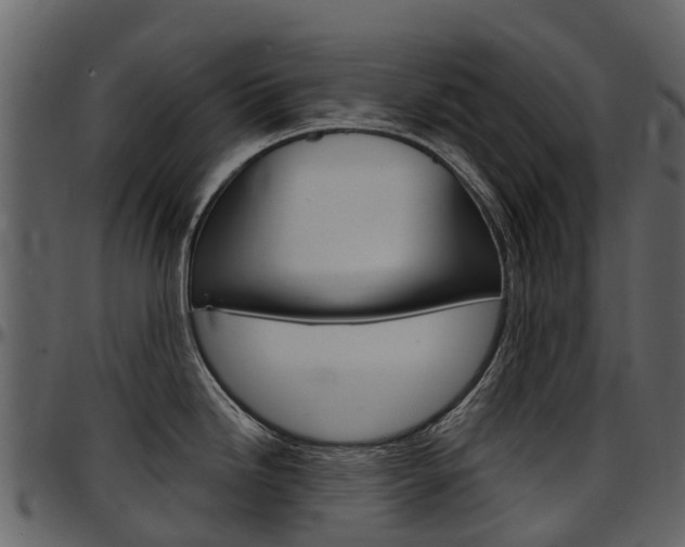 X0000097651246200802290839