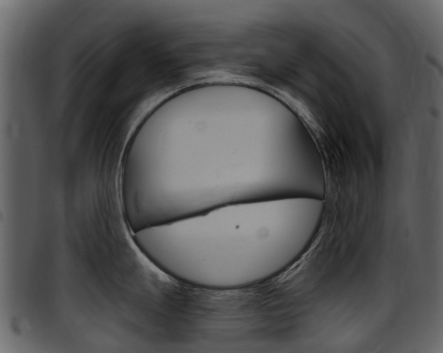 X0000097651247200802290839