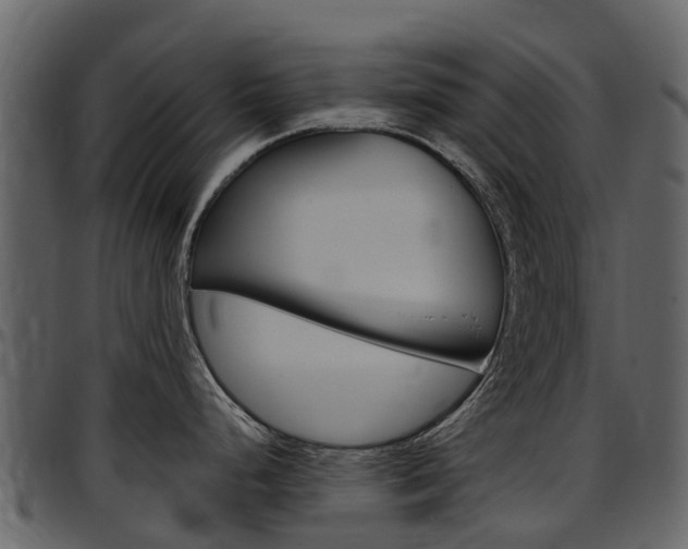 X0000097651248200802290839