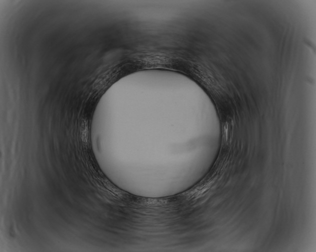 X0000097651251200802290838