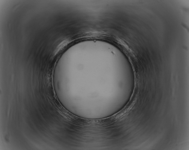 X0000097651259200802290838