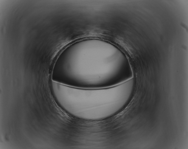 X0000097651260200802290838