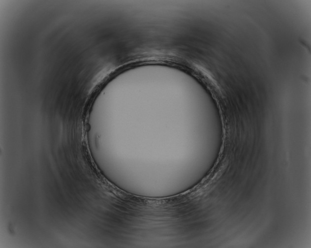 X0000097651267200802290838