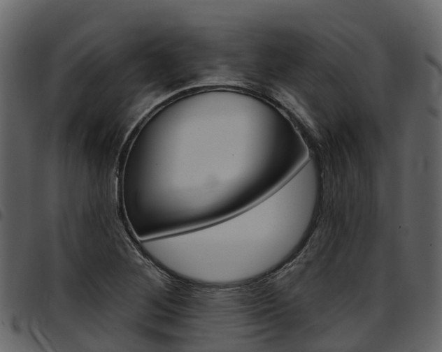X0000097651268200802290838