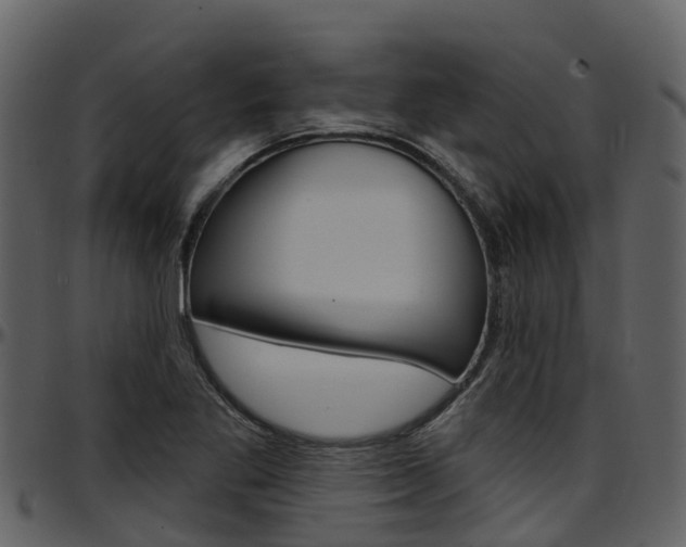 X0000097651269200802290838
