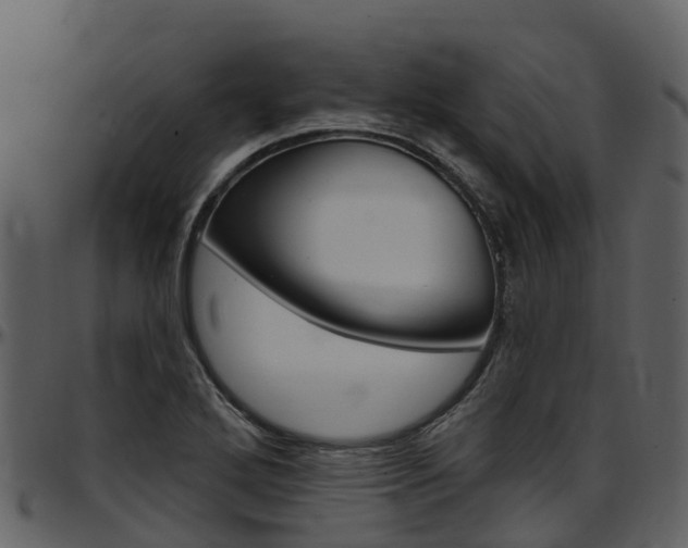 X0000097651272200802290838