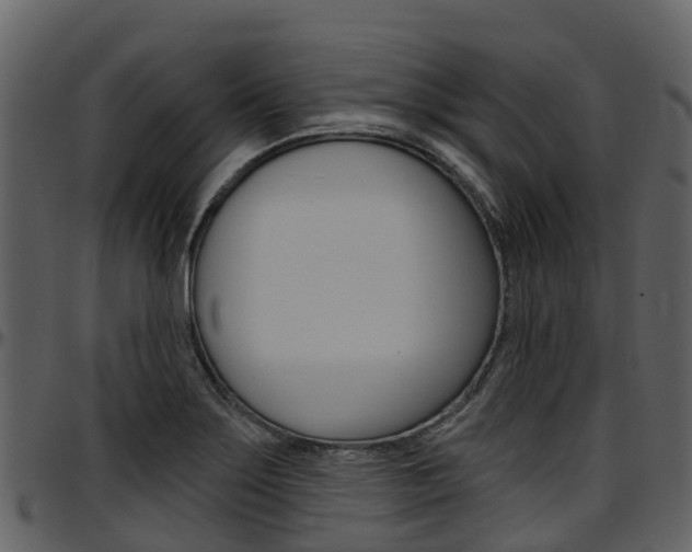 X0000097651275200802290838