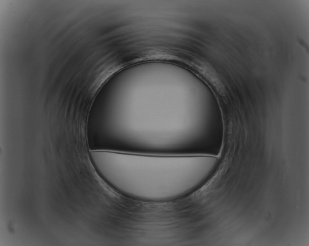 X0000097651281200802290837