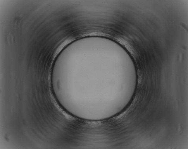 X0000097651282200802290837
