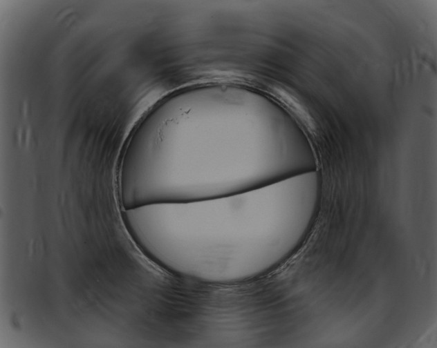 X0000097651283200802290837