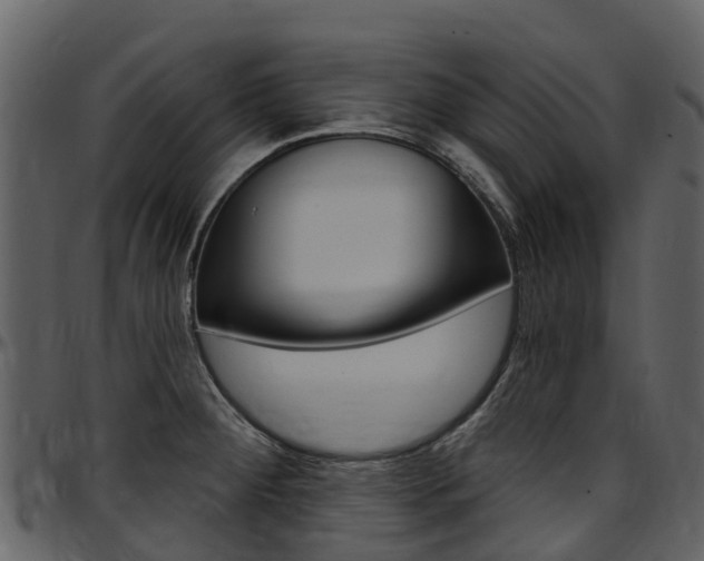 X0000097651284200802290837
