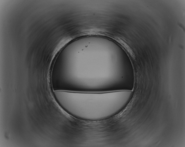 X0000097651285200802290837