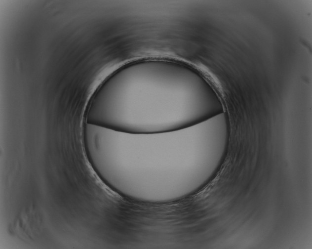 X0000097651287200802290837