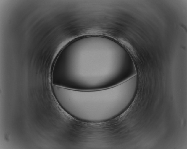 X0000097651288200802290837