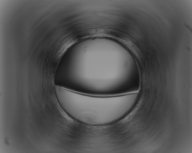 X0000097651289200802290837