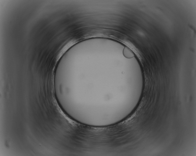 X0000097651290200802290837