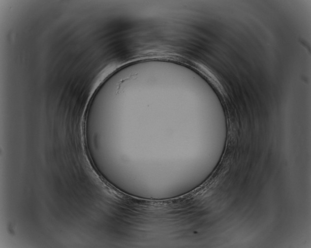 X0000097651291200802290837
