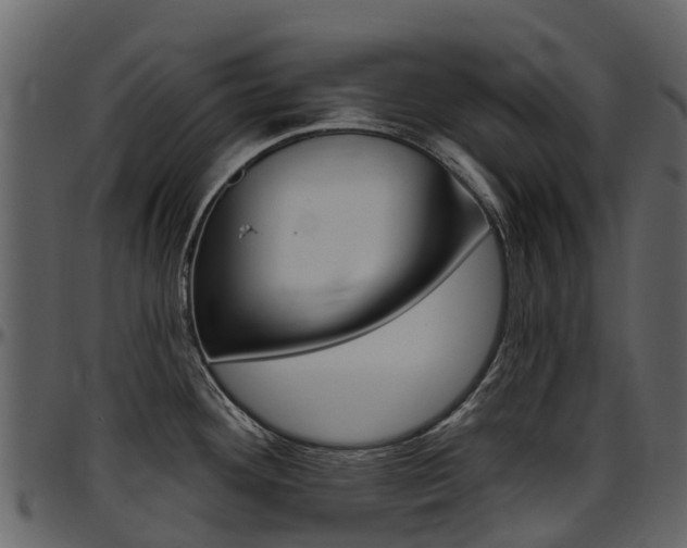 X0000097651292200802290837