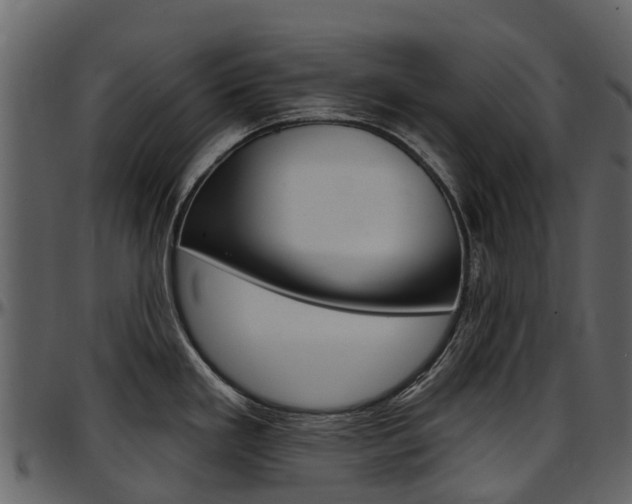 X0000097651293200802290837