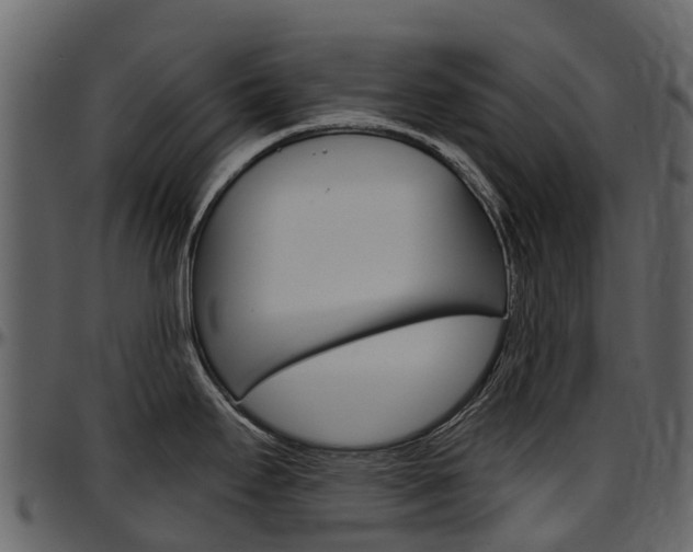 X0000097651295200802290837