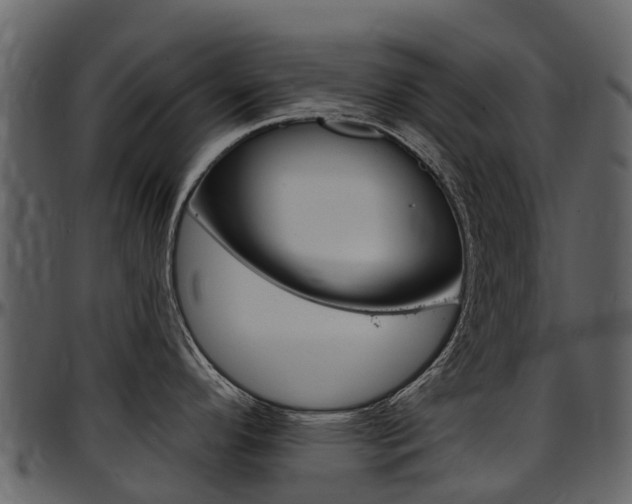 X0000097651296200802290837