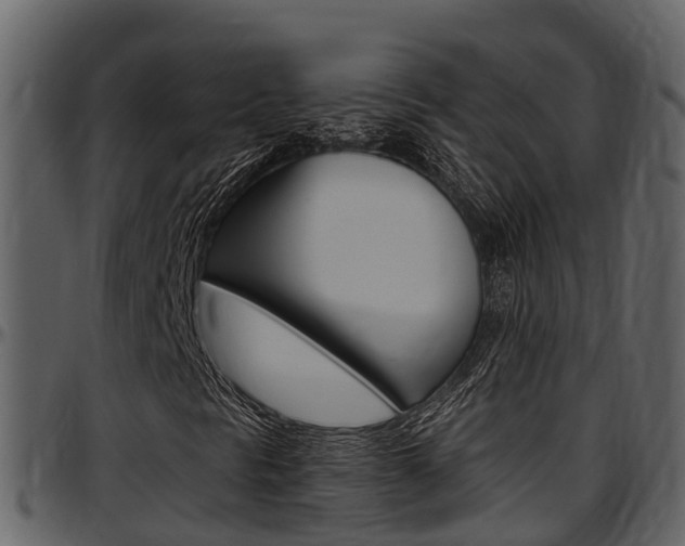 X0000097651297200802290837
