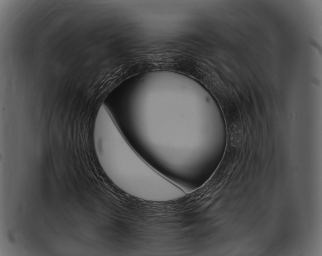 X0000097651298200802290837