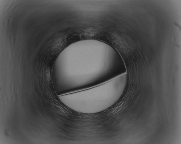 X0000097651299200802290837